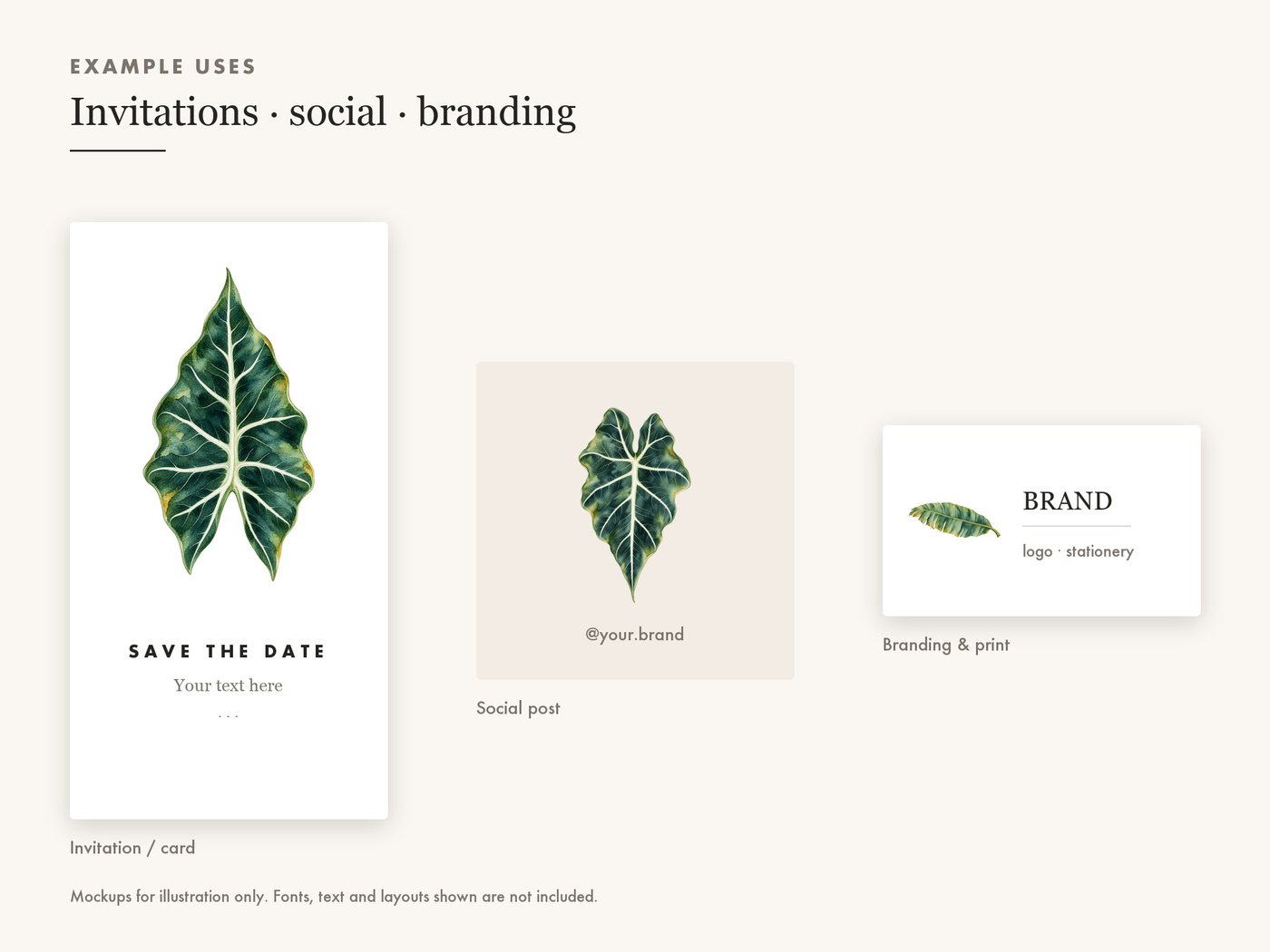Botanical Greenery Leaf Clipart, Transparent PNG — use cases