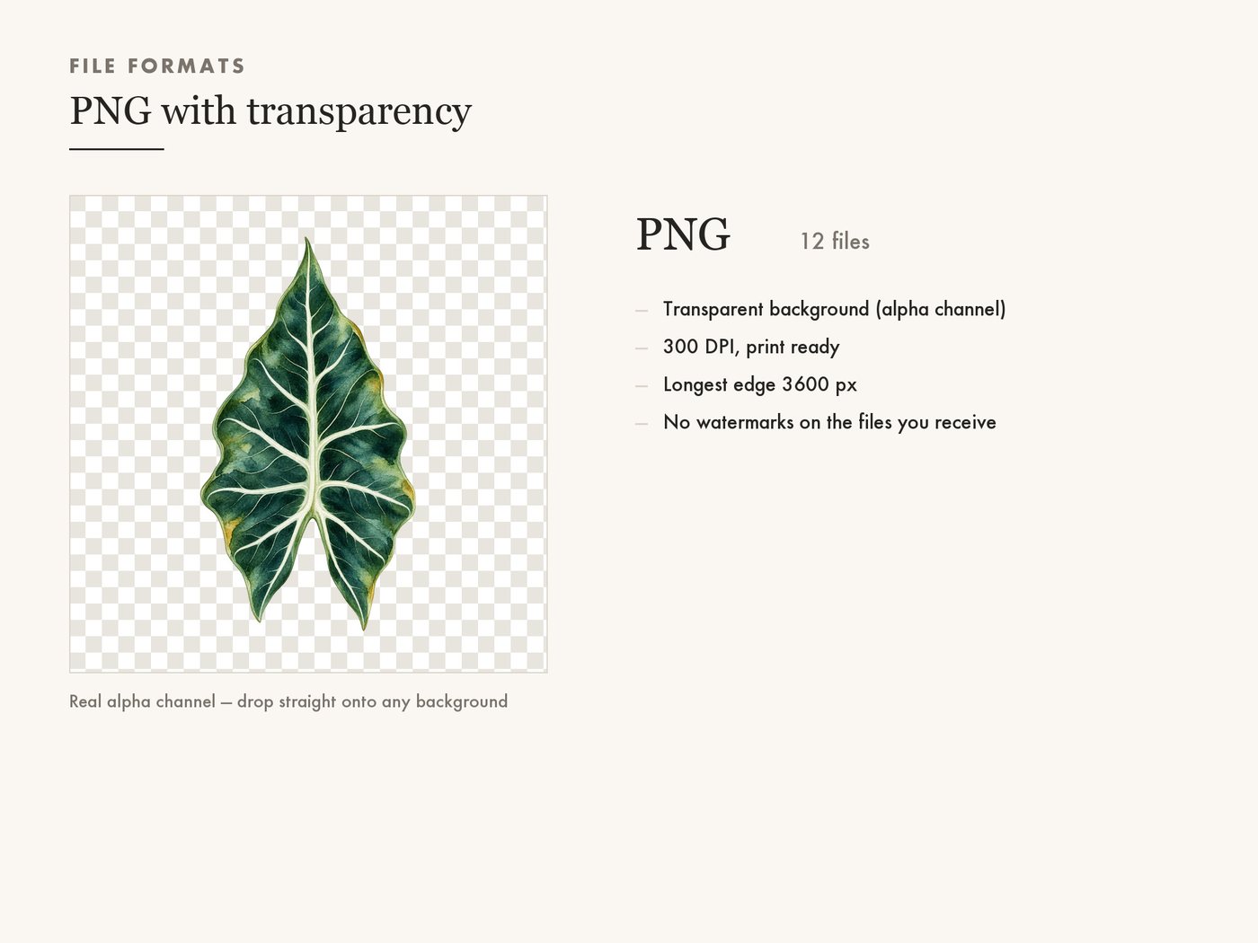 Botanical Greenery Leaf Clipart, Transparent PNG — file formats