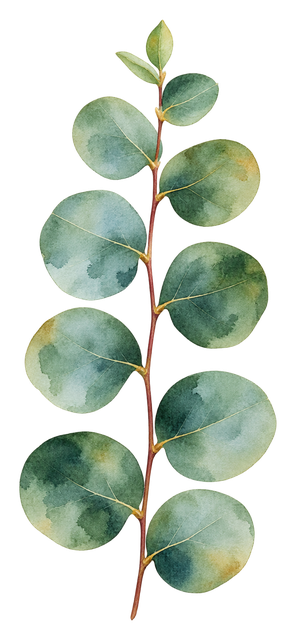 05_eucalyptus-sprig