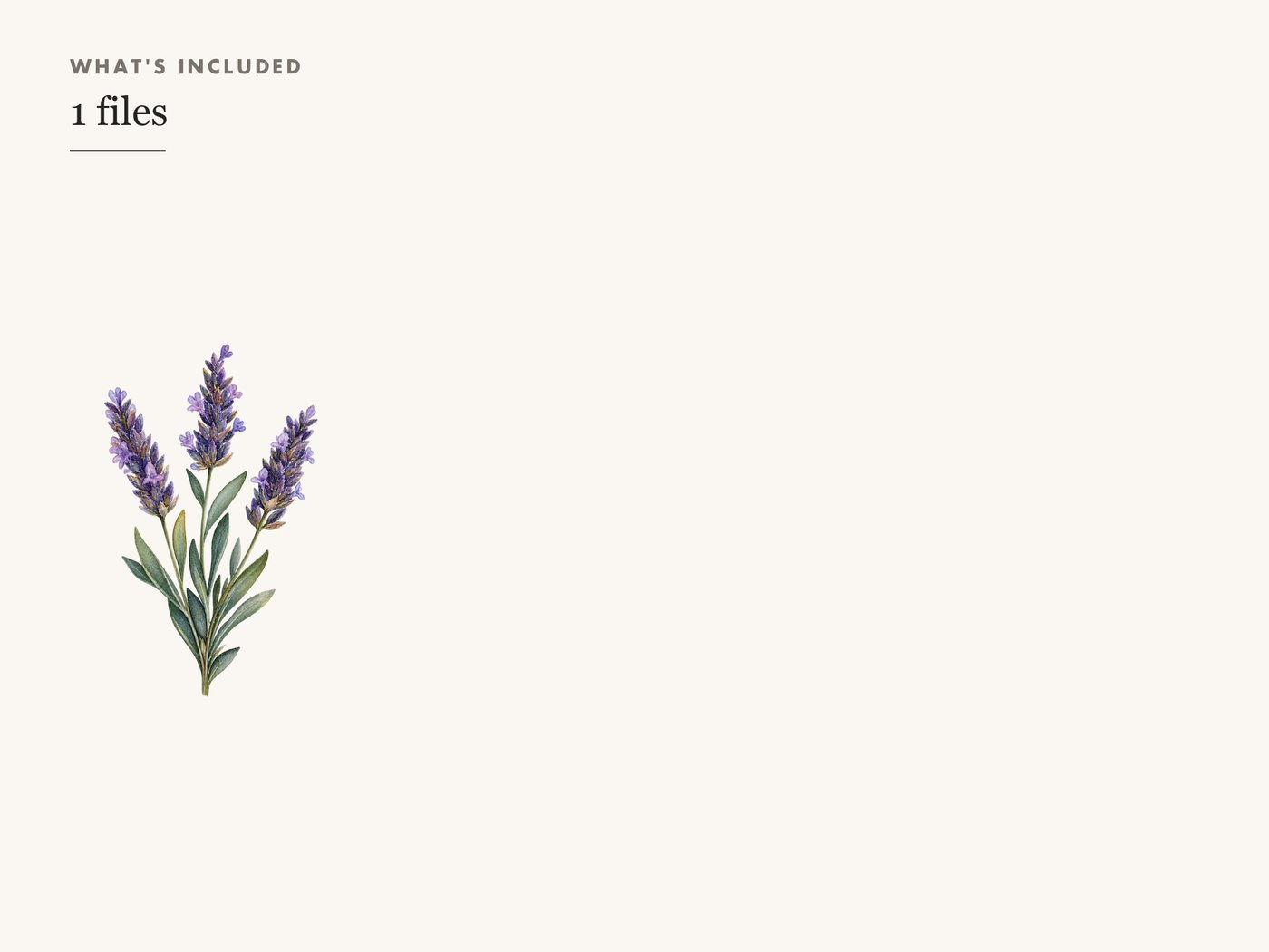 Lavender Sprig Clipart PNG Transparent Botanical — whats included