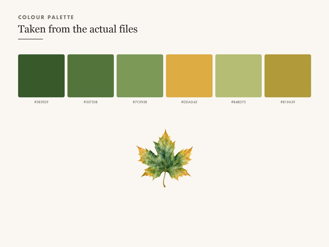 Maple Leaf Clipart PNG, Transparent Autumn Leaf Graphic — colour palette