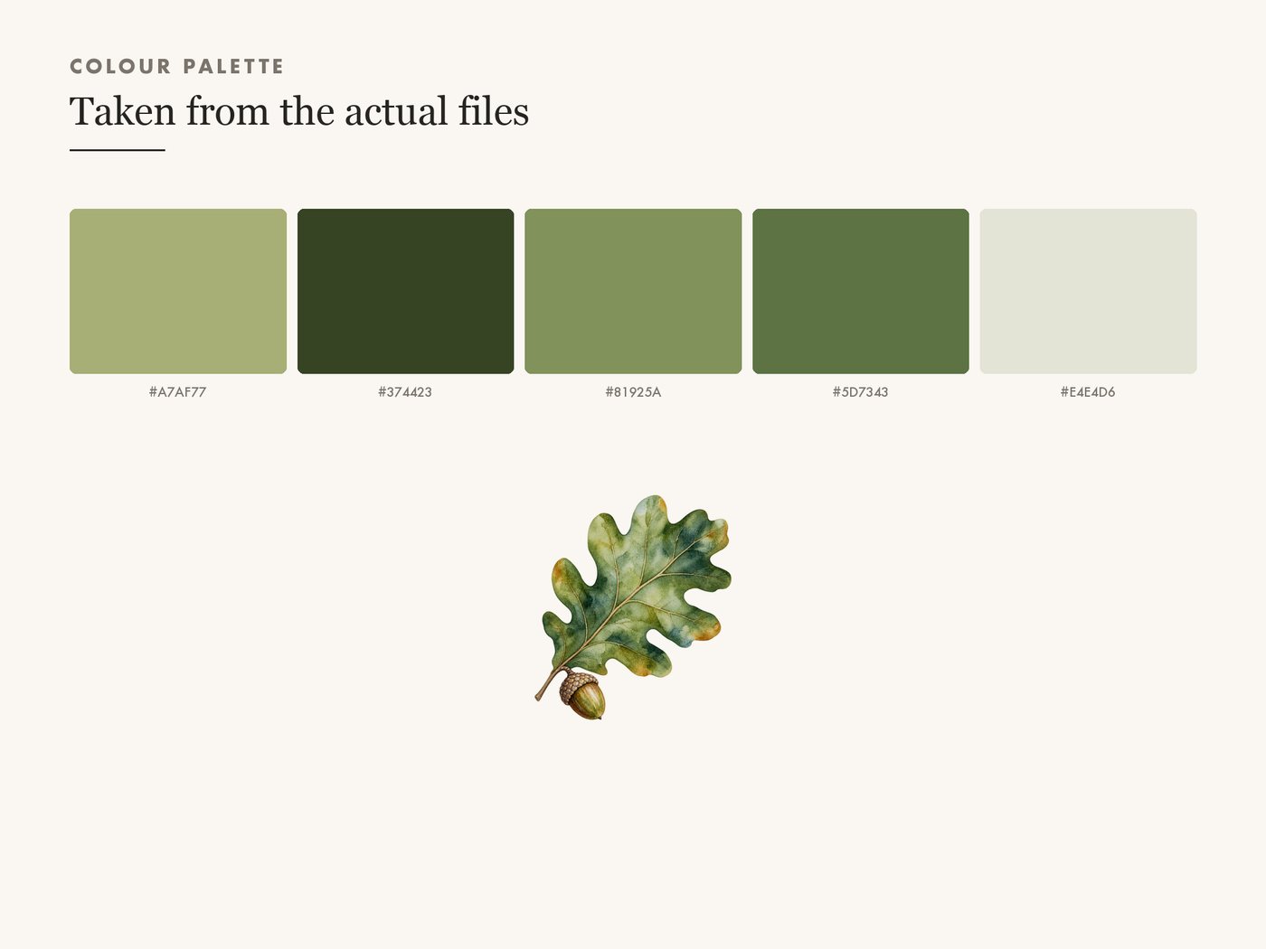 Oak Leaf and Acorn Clipart PNG, Autumn Woodland Graphic — colour palette