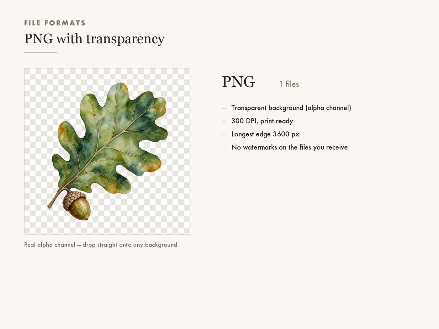 Oak Leaf and Acorn Clipart PNG, Autumn Woodland Graphic — file formats