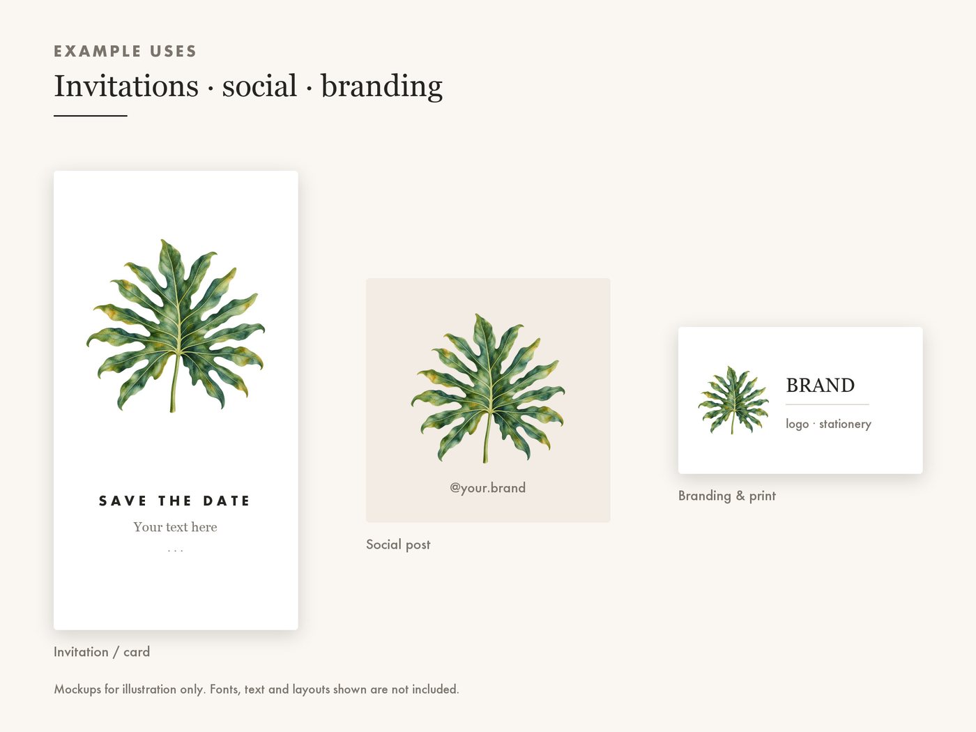 Philodendron Leaf Botanical Clipart PNG — use cases