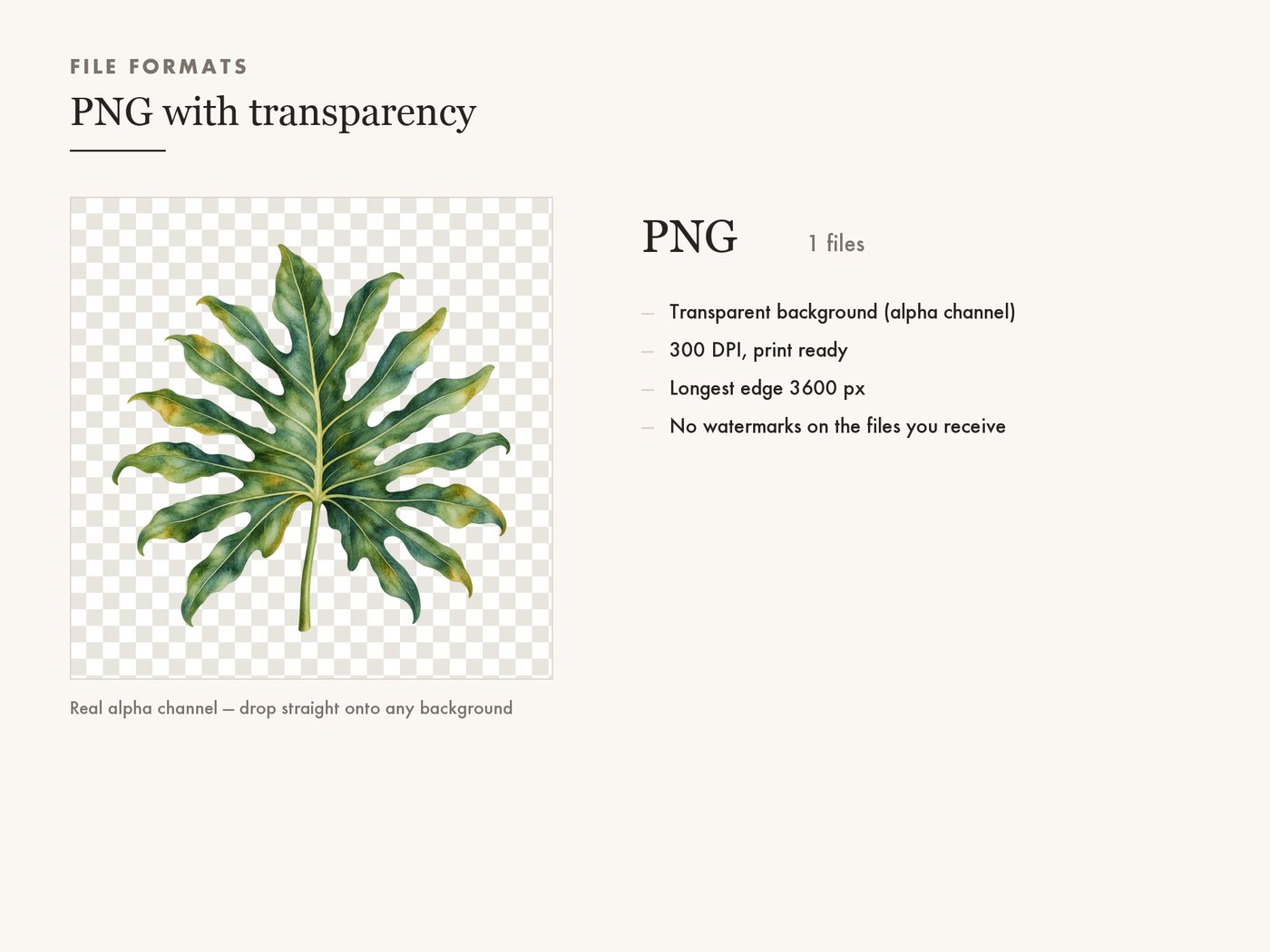 Philodendron Leaf Botanical Clipart PNG — file formats