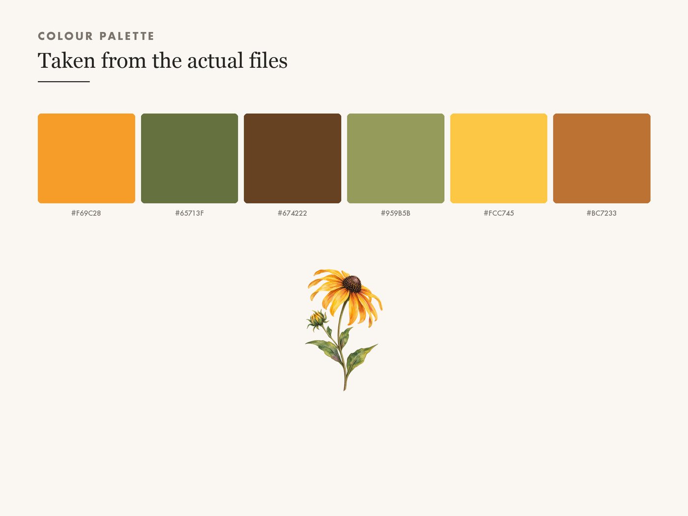 Black Eyed Susan Clipart PNG Transparent Wildflower — colour palette